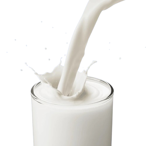 Fresh Milk