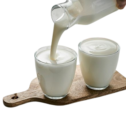 Fermented Milk